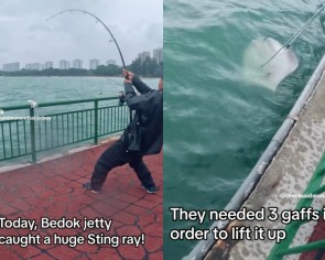 Anglers at Bedok Jetty release injured stingray after failing to lift it out of sea