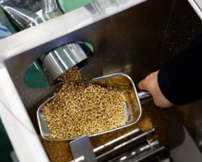 Rice into low-carbon plastic: Bringing hope to a struggling Fukushima town