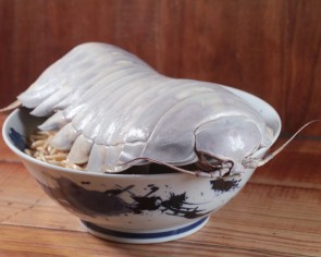 &#039;Looks like a big cockroach&#039;: 14-legged sea creature served on ramen dish in Taipei noodle bar sets tongues wagging