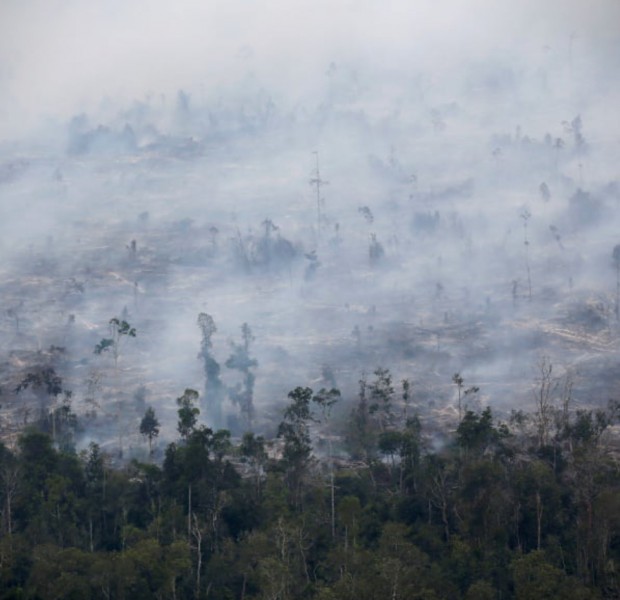 Indonesian minister says Singapore doesn&#039;t need to worry about haze anymore