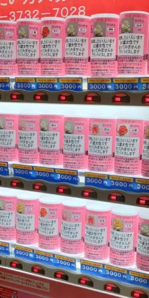 Japan&#039;s matchmaking vending machine sells shot at love for $35
